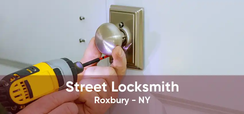 Street Locksmith Roxbury - NY